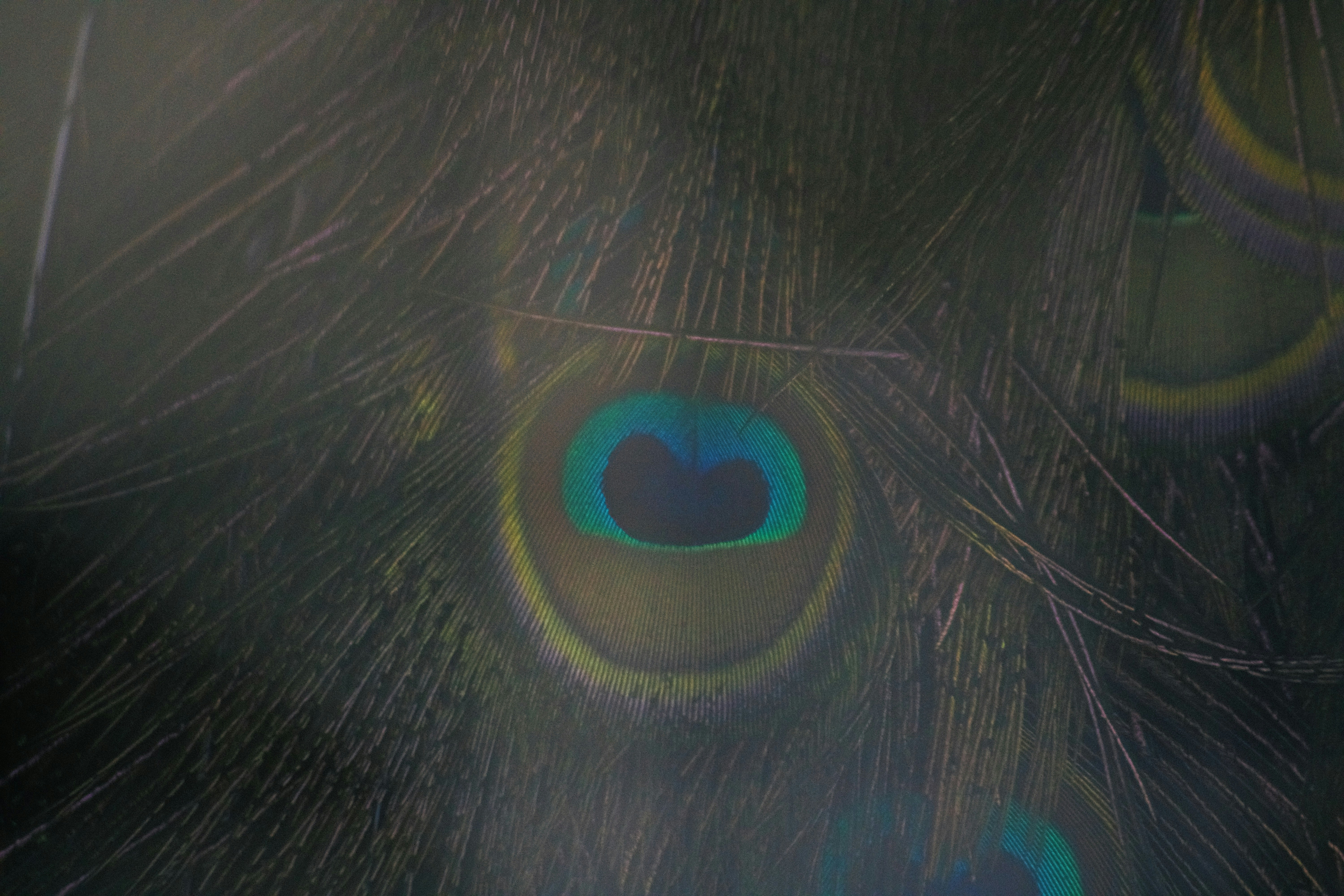 Animoca звертає увагу на стейблкоїни, ШІ, DePIN, оскільки розширює фокус у 2026 році: керівник