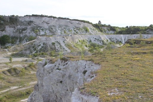 A scenic landscape featuring a limestone quarry with rugged cliffs and terraces. The area is partially covered with green vegetation and wildflowers, and there are patches of grass on the rocky surfaces. The backdrop consists of a mix of trees and shrubs.