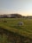 A close-up of healthy cattle grazing peacefully on a green pasture at sunset.