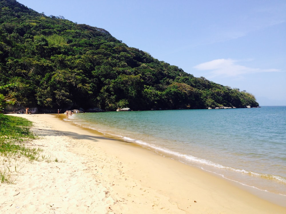 Gente en la playa durante el día