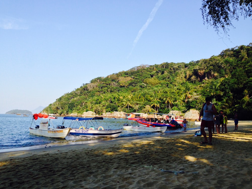 people on beach during daytime