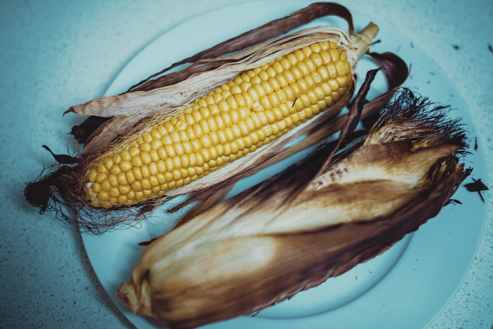 corn on white ceramic plate