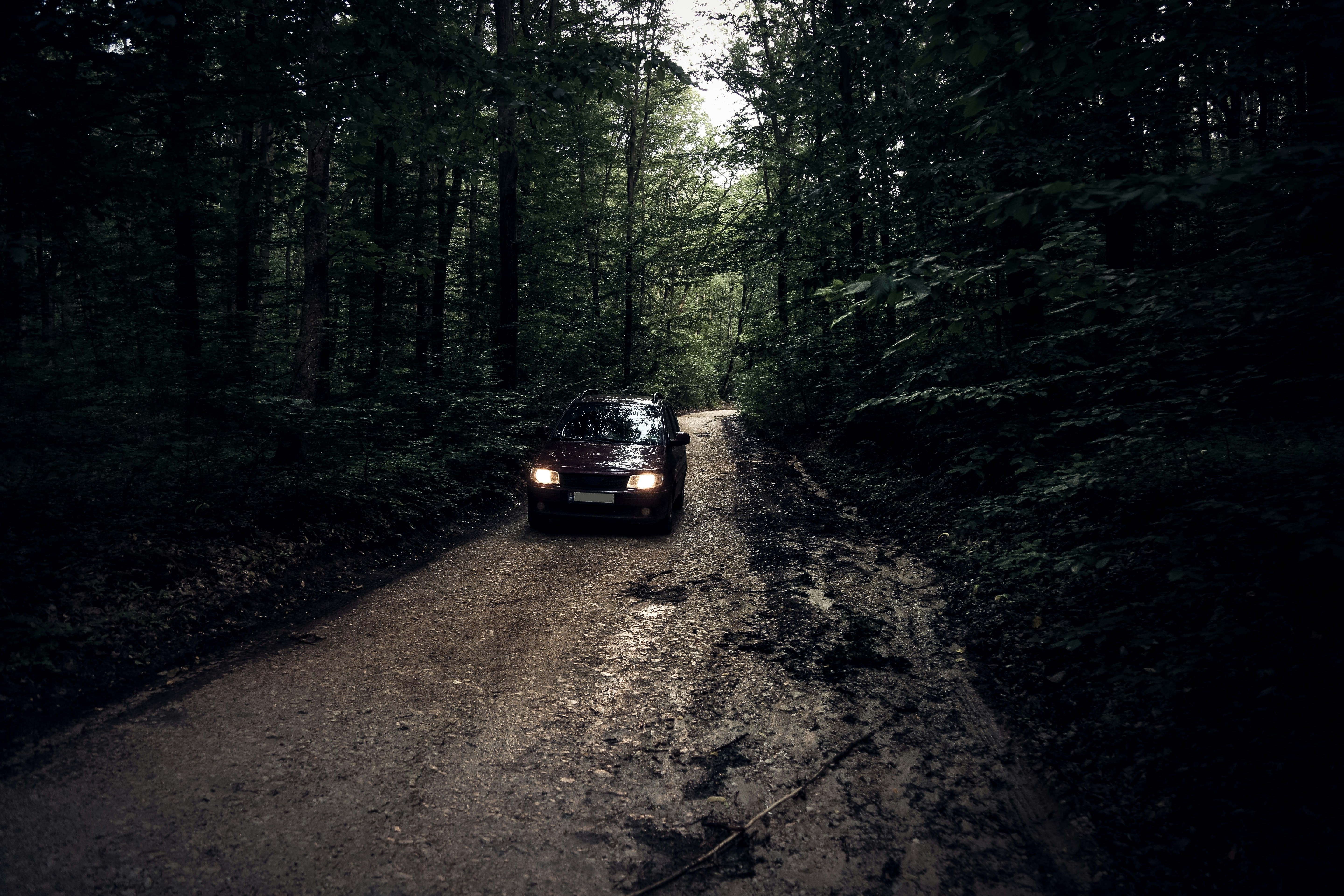 Photo by valentinbalan