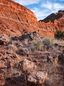 green grass on brown rocky mountain during daytime
