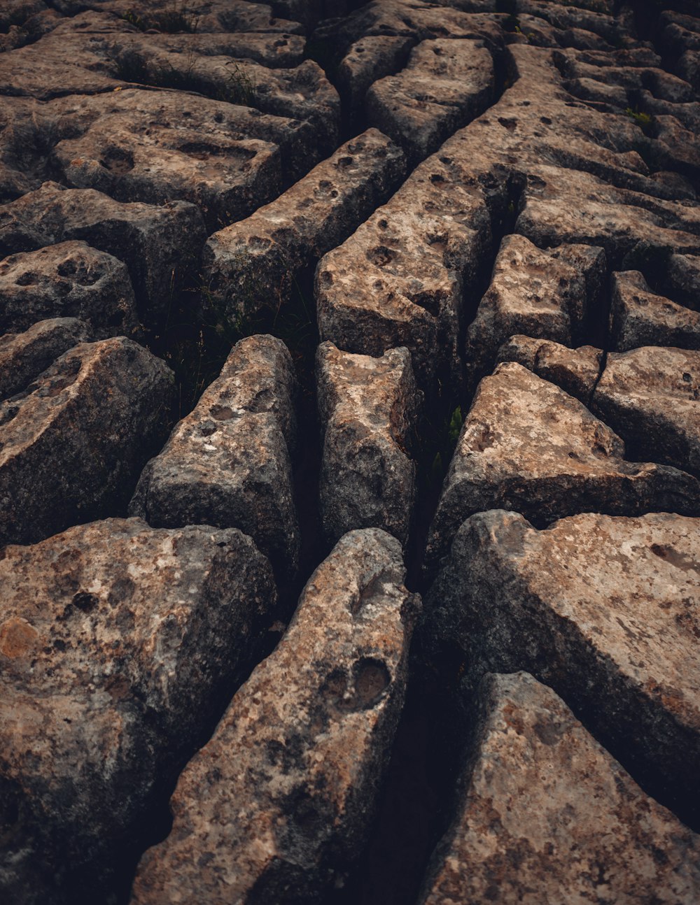 brown and gray rock formation