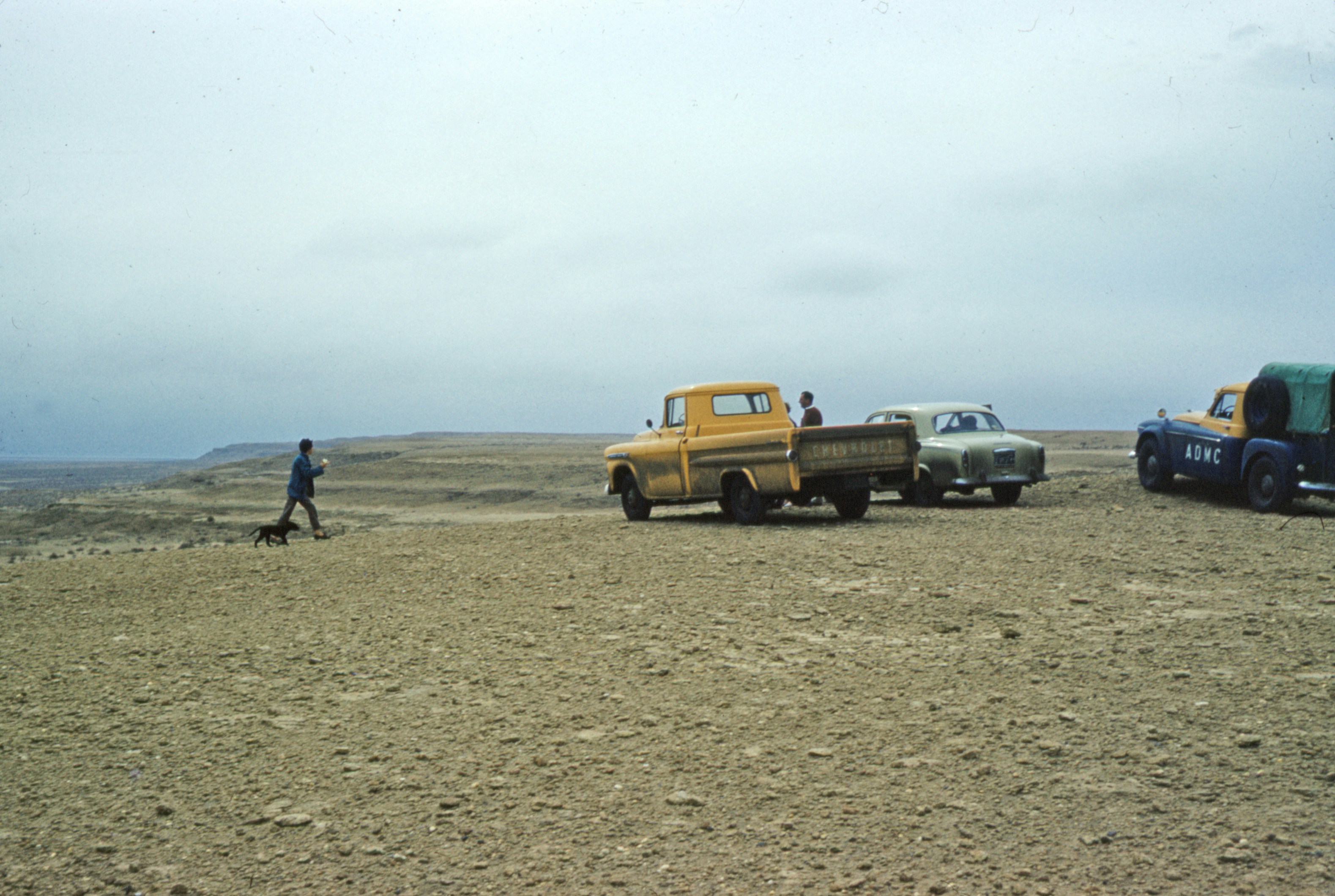 Fieldwork Pictures | Download Free Images on Unsplash
