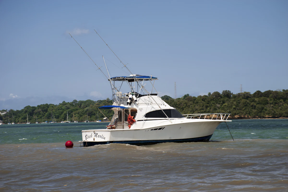 Mangrove-lined creek at Kilifi, Kenya