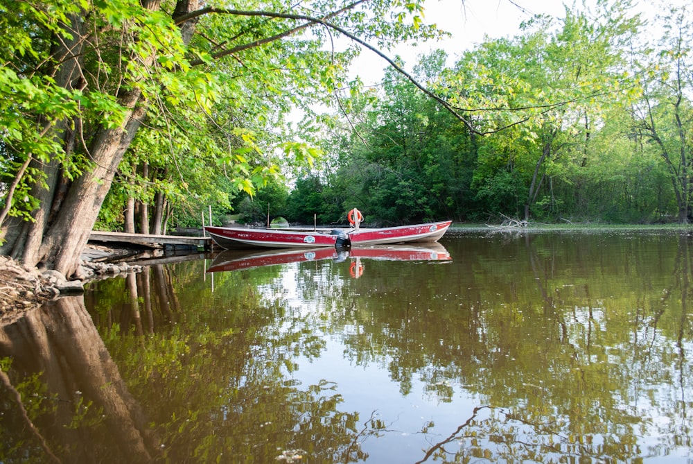 man in red and black shirt riding on red and white boat on lake during daytime