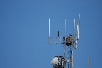 A metal communication tower with several antennas is seen against a clear blue sky. Two birds are present on the structure, with one flying near a nest built on the tower.
