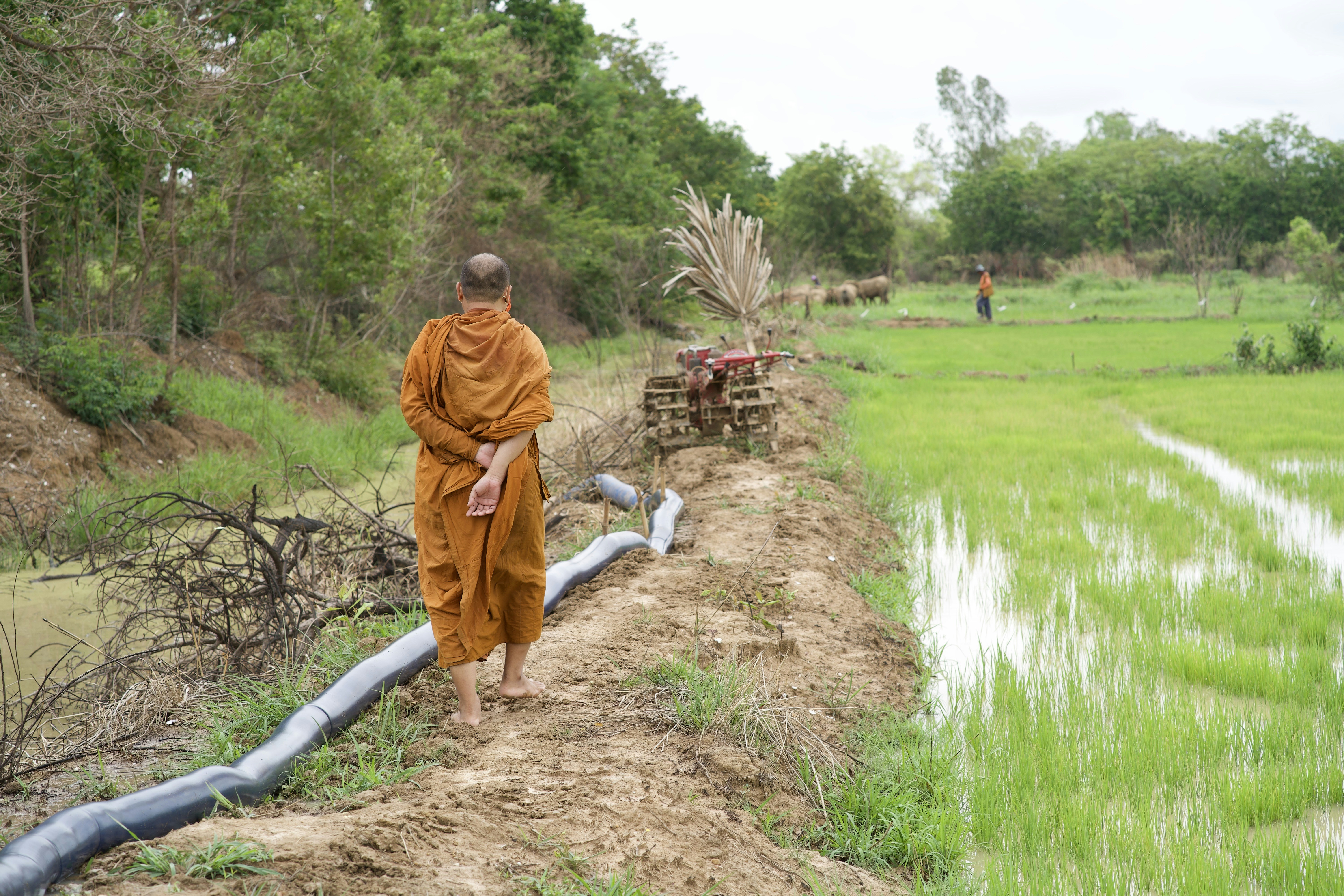 woman in brown hijab and gray pants sitting on brown soil near green grass field during