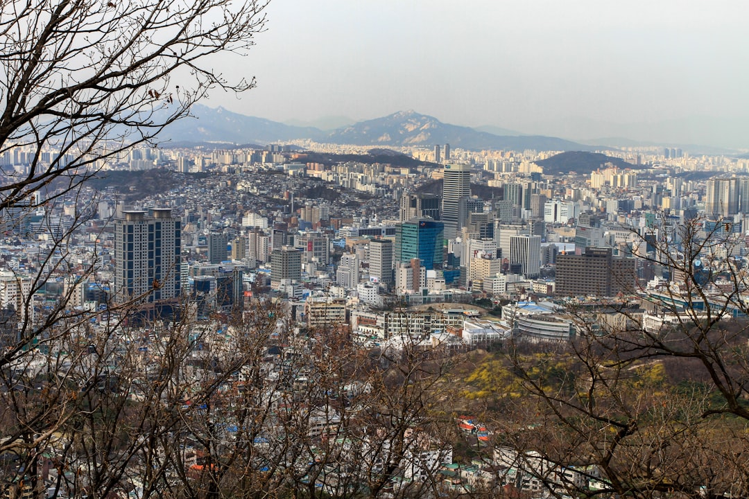 Landmark photo spot Namsan Tower National Palace Museum of Korea