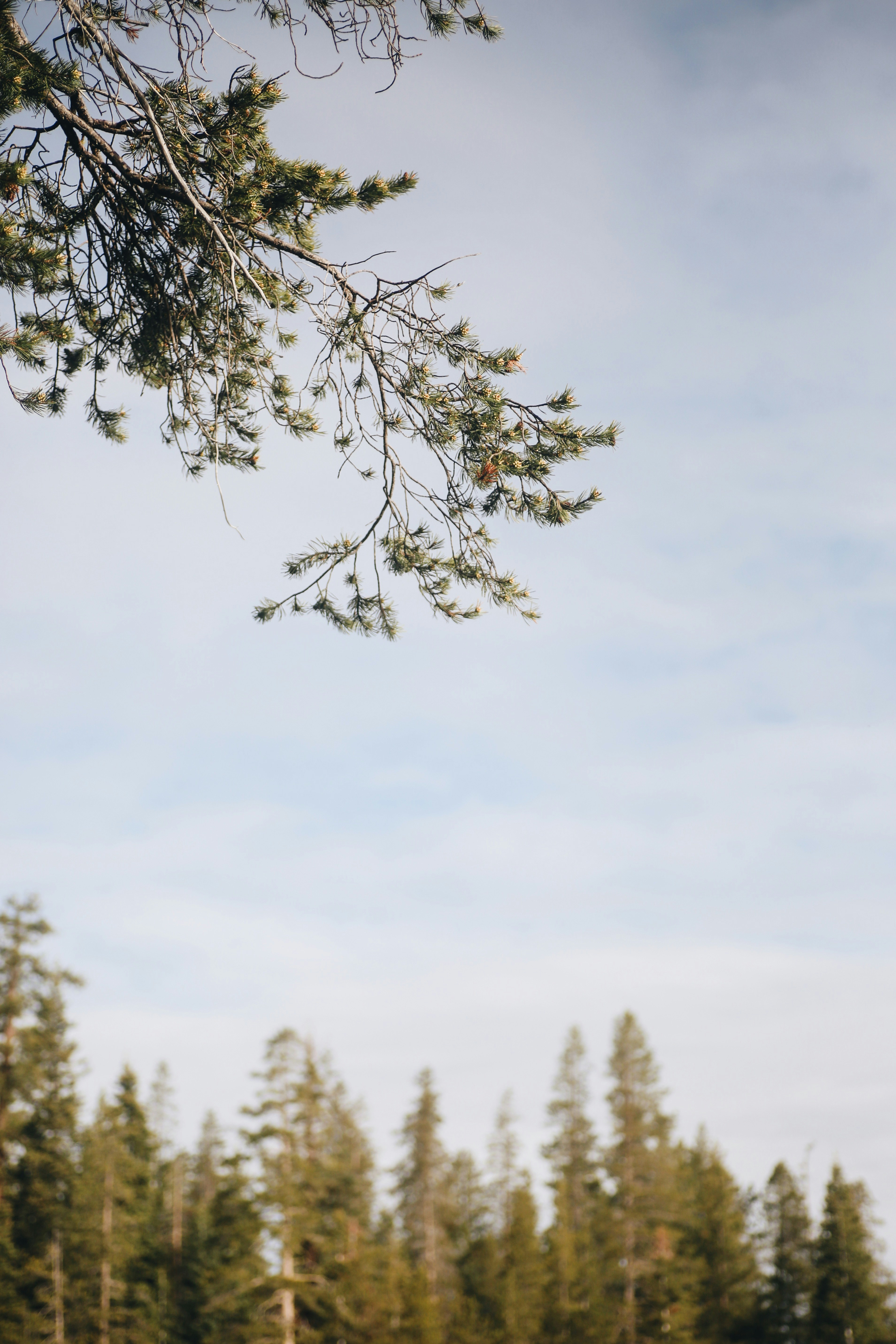 Photo by giorgiotrovato