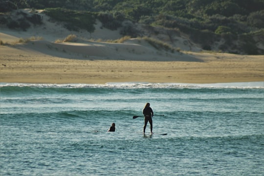 man in black wet suit standing on sea shore during daytime in Port Alfred South Africa