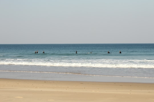 people on beach during daytime in Port Alfred South Africa