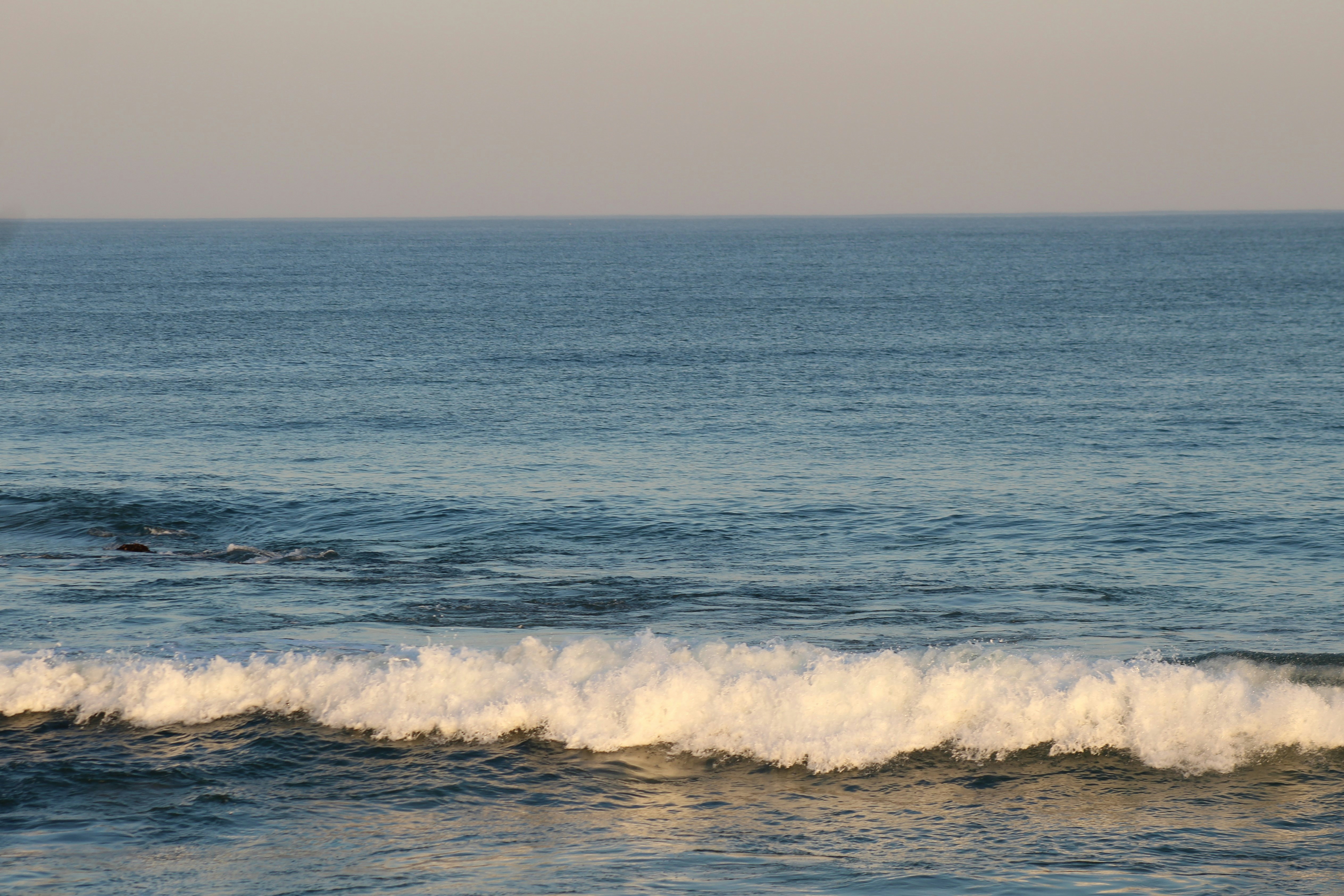 Photo by artisticnicks