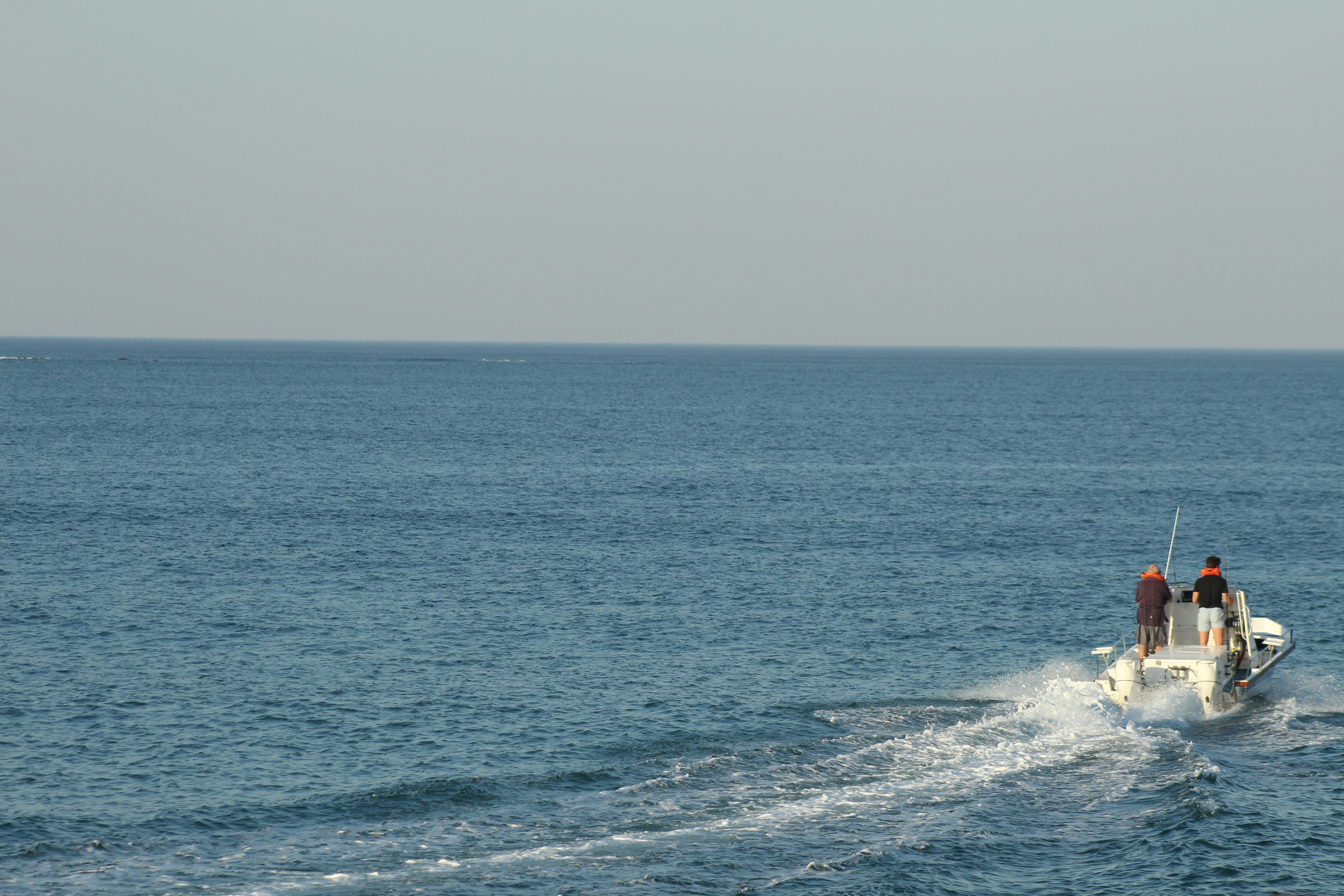 Photo by artisticnicks