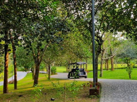 A serene park scene featuring a pathway lined with lush green trees and grass. A small vehicle, possibly a golf cart, is moving along the pathway, with two people visible inside. Sunlight filters through the foliage, creating a dappled light effect on the ground.
