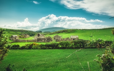 green grass field under blue sky during daytime