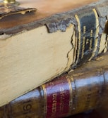Two vintage books with worn and cracked spines are stacked together. The top book shows visible age with peeling material on the spine, revealing dates from November 1928 to June 1929. The lower book has a shiny, reddish-brown spine with visible text, indicating it might be related to a change division from 1914.