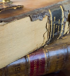 Two vintage books with worn and cracked spines are stacked together. The top book shows visible age with peeling material on the spine, revealing dates from November 1928 to June 1929. The lower book has a shiny, reddish-brown spine with visible text, indicating it might be related to a change division from 1914.