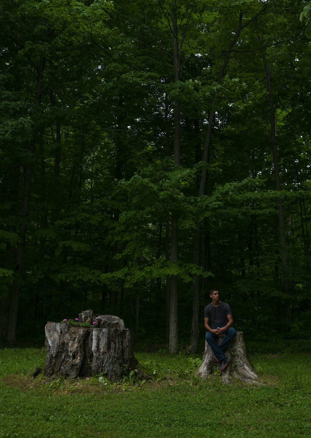 man in black jacket standing in front of green trees during daytime