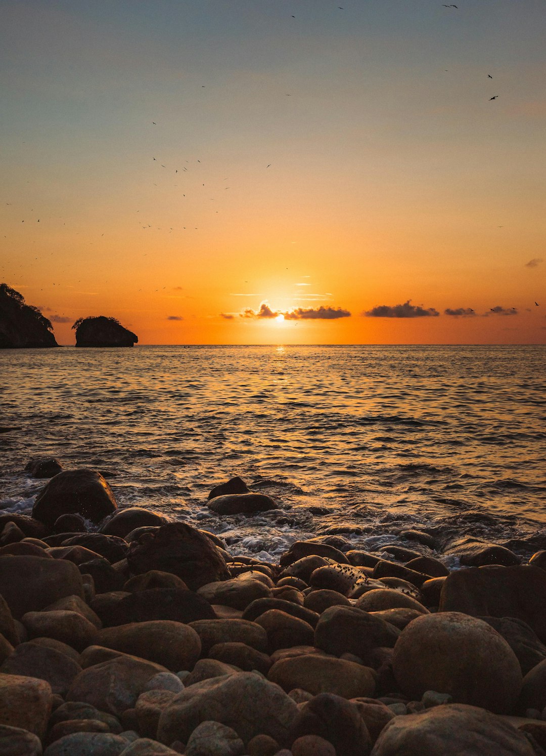 rocky shore during sunset with sunset