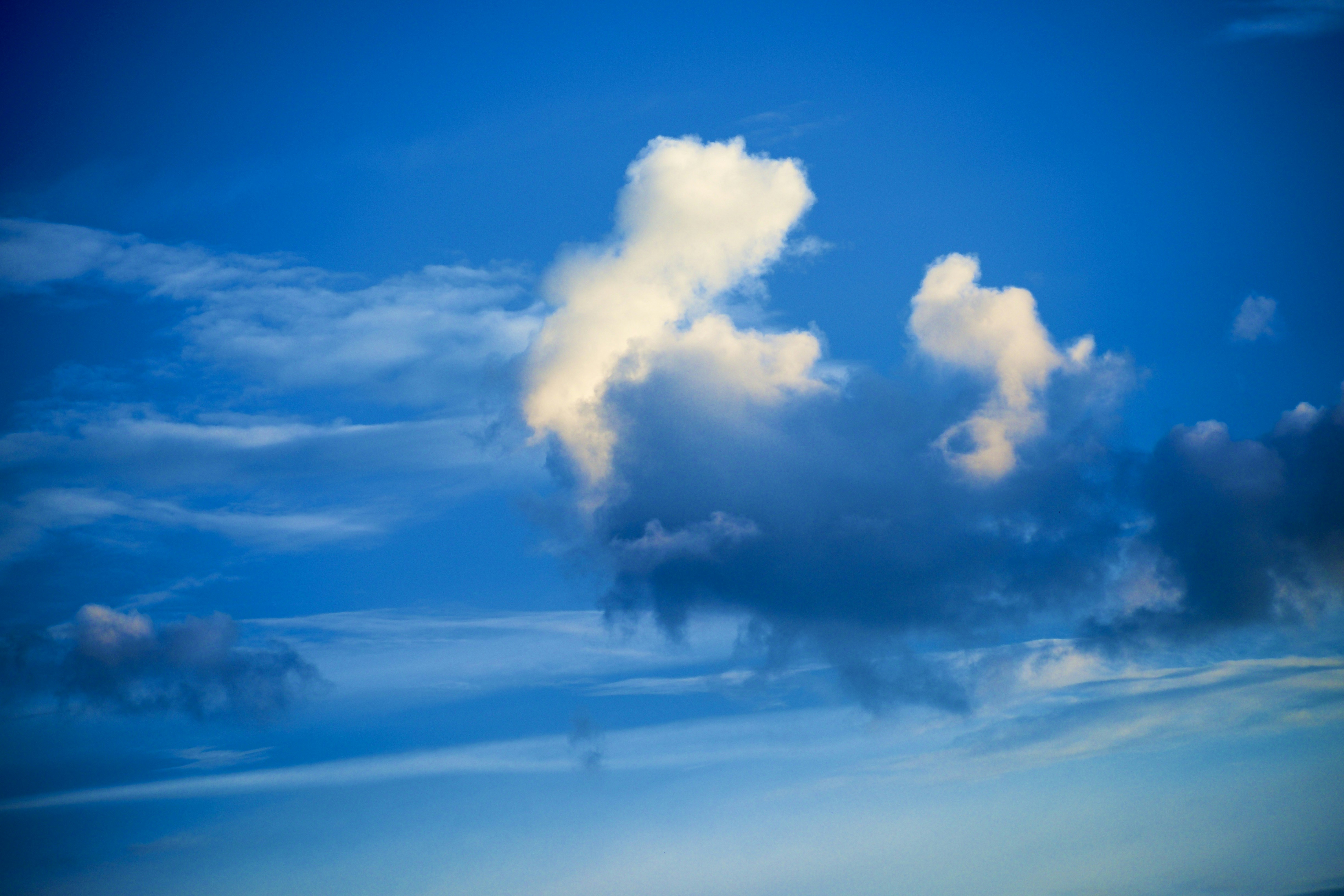 Photo by timo_planeterde