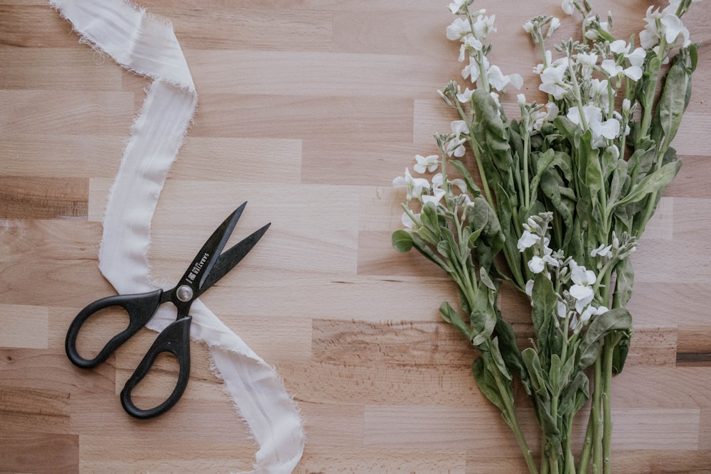 black handled scissors beside white flowers on brown wooden table