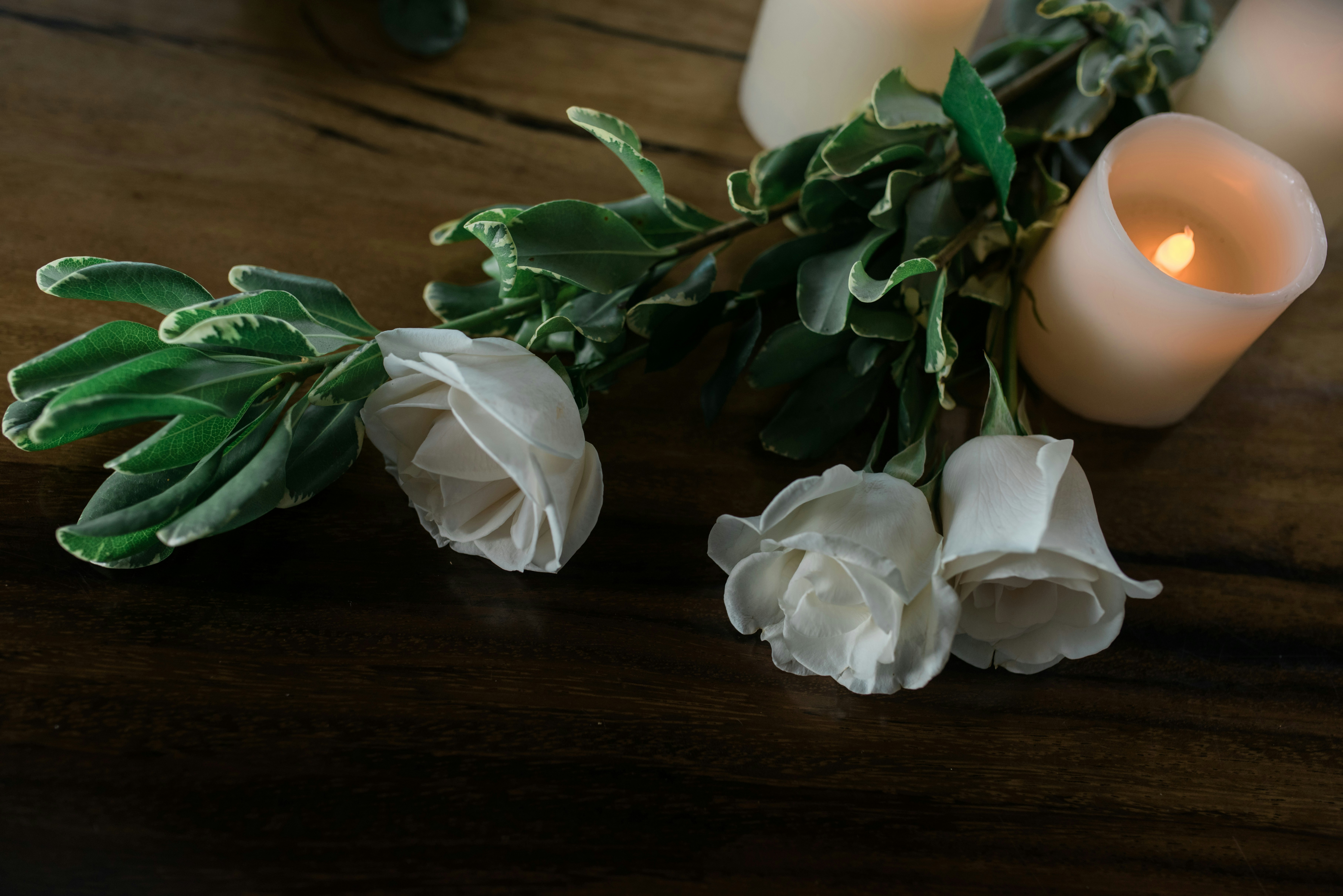 Photo by victoriabcphotographer