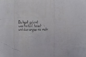 A light gray wall features text written in black, stylized handwriting. The words are in German and read, 'Du hast gelernt was Freiheit heisst und das vergiss nie mehr.'