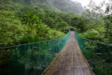 A wooden suspension bridge stretches across a lush tropical forest, with vibrant green foliage surrounding it. The bridge is flanked by green netting and appears moist from the humid environment or recent rainfall.