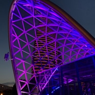 A futuristic cityscape at night symbolizing digital security and privacy.