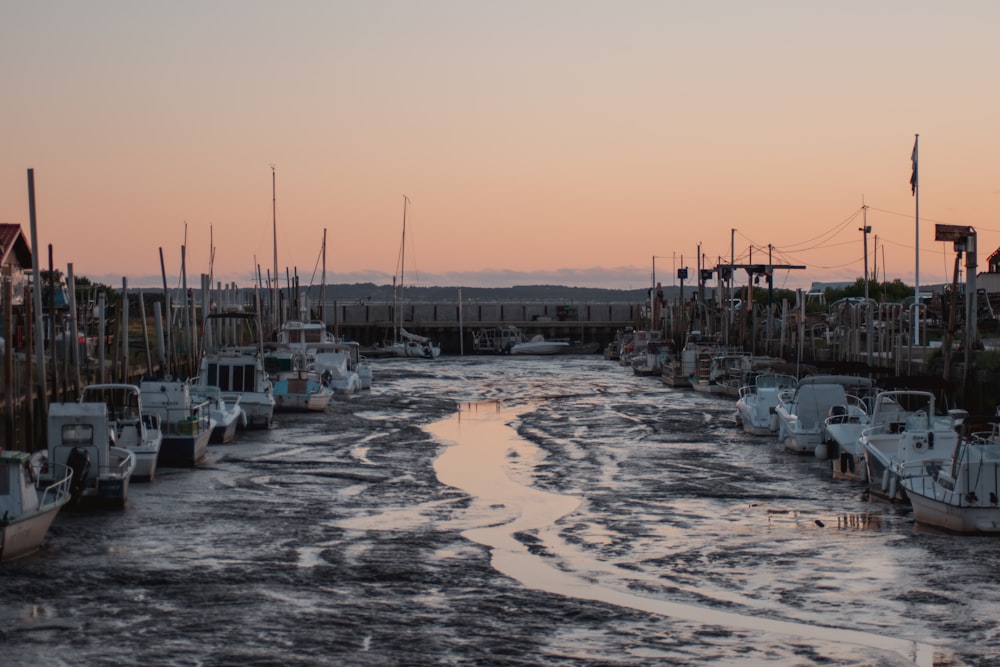 Weiße und blaue Boote an der Küste während des Sonnenuntergangs