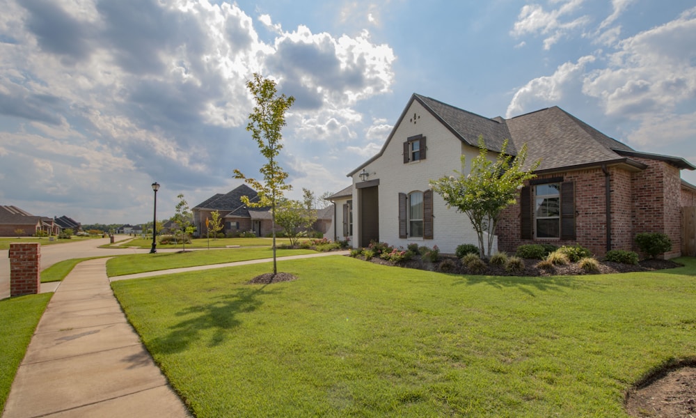 Waikato rural property with lifestyle block and modern home