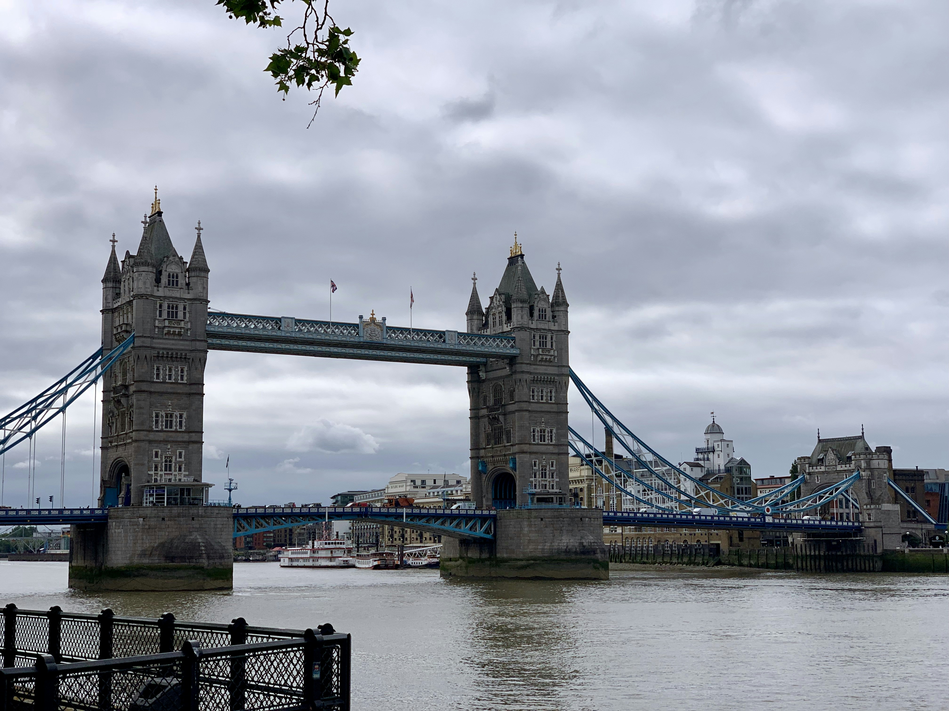 trip gallery picture