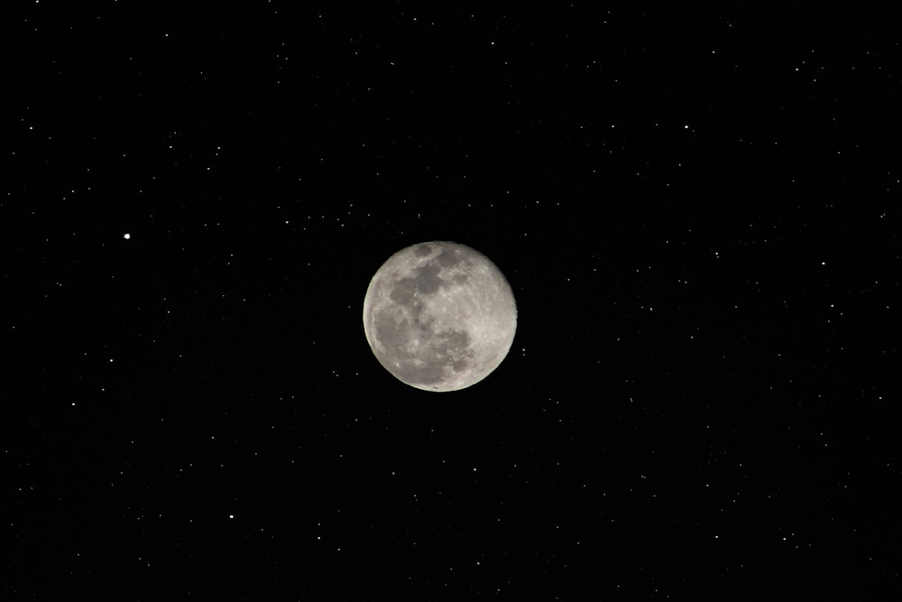 luna piena nel cielo notturno