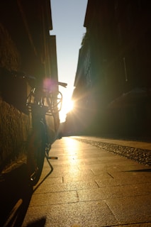 A cozy terrace scene with a bicycle leaning against a rustic wall, bathed in warm afternoon light.