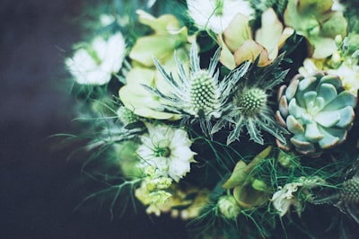 white flowers with green leaves fantastic teams background