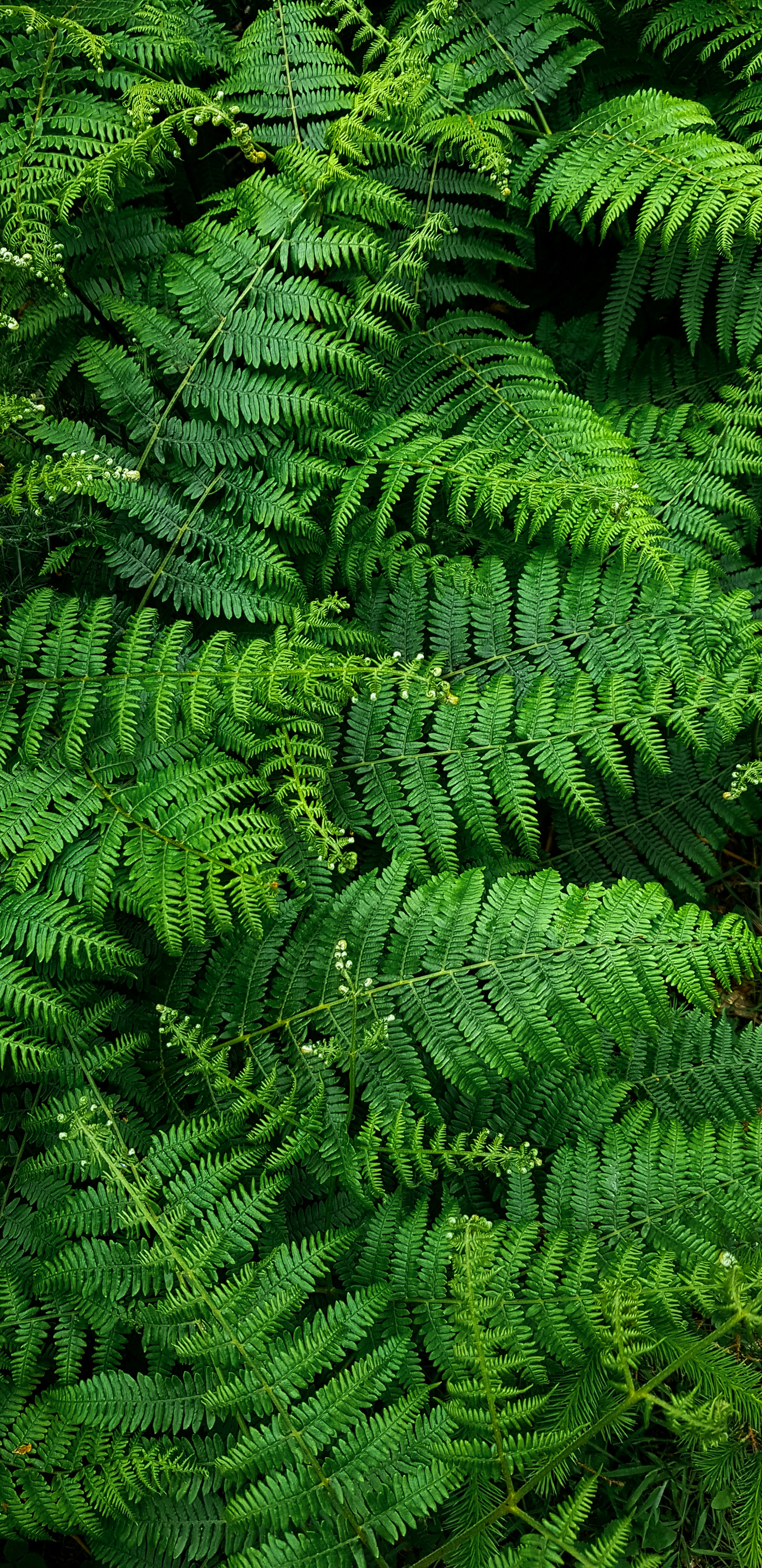 Photo by lauraemma_d