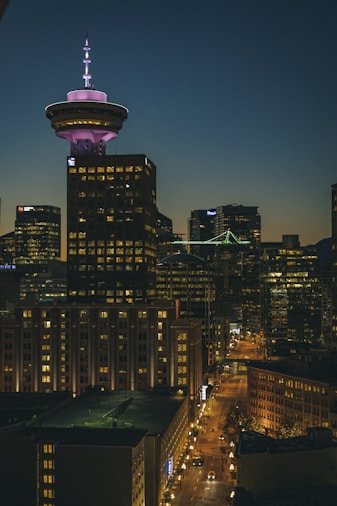 city skyline during night time