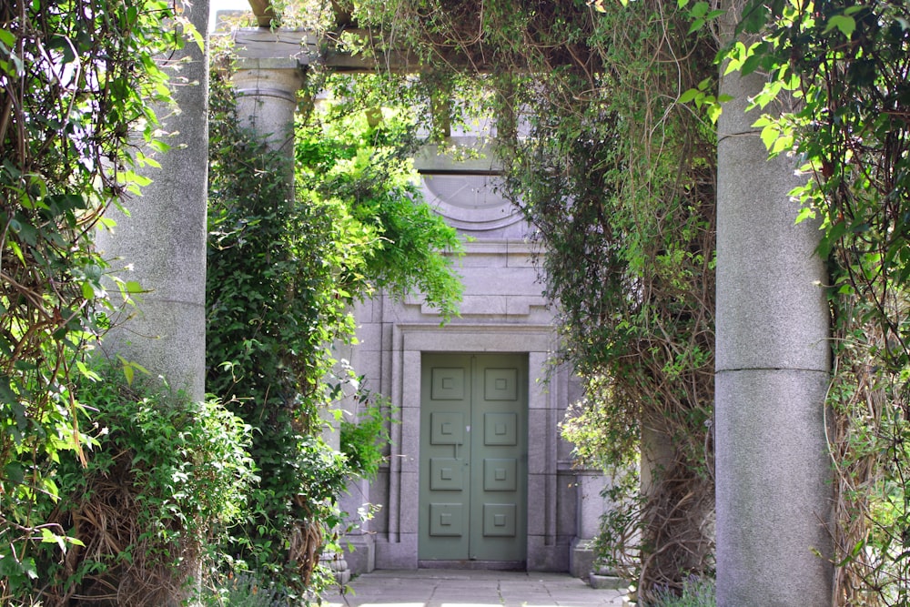 white wooden door near green plants