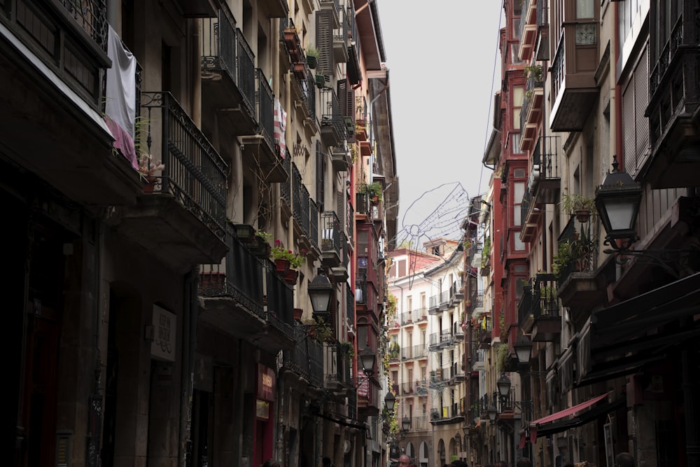 white and brown concrete buildings during daytime