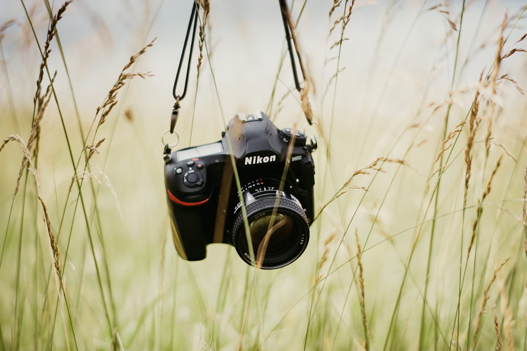 black nikon dslr camera hanging on brown wooden stick