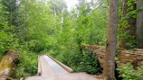 A beautifully crafted wooden boardwalk winding through a lush green forest.