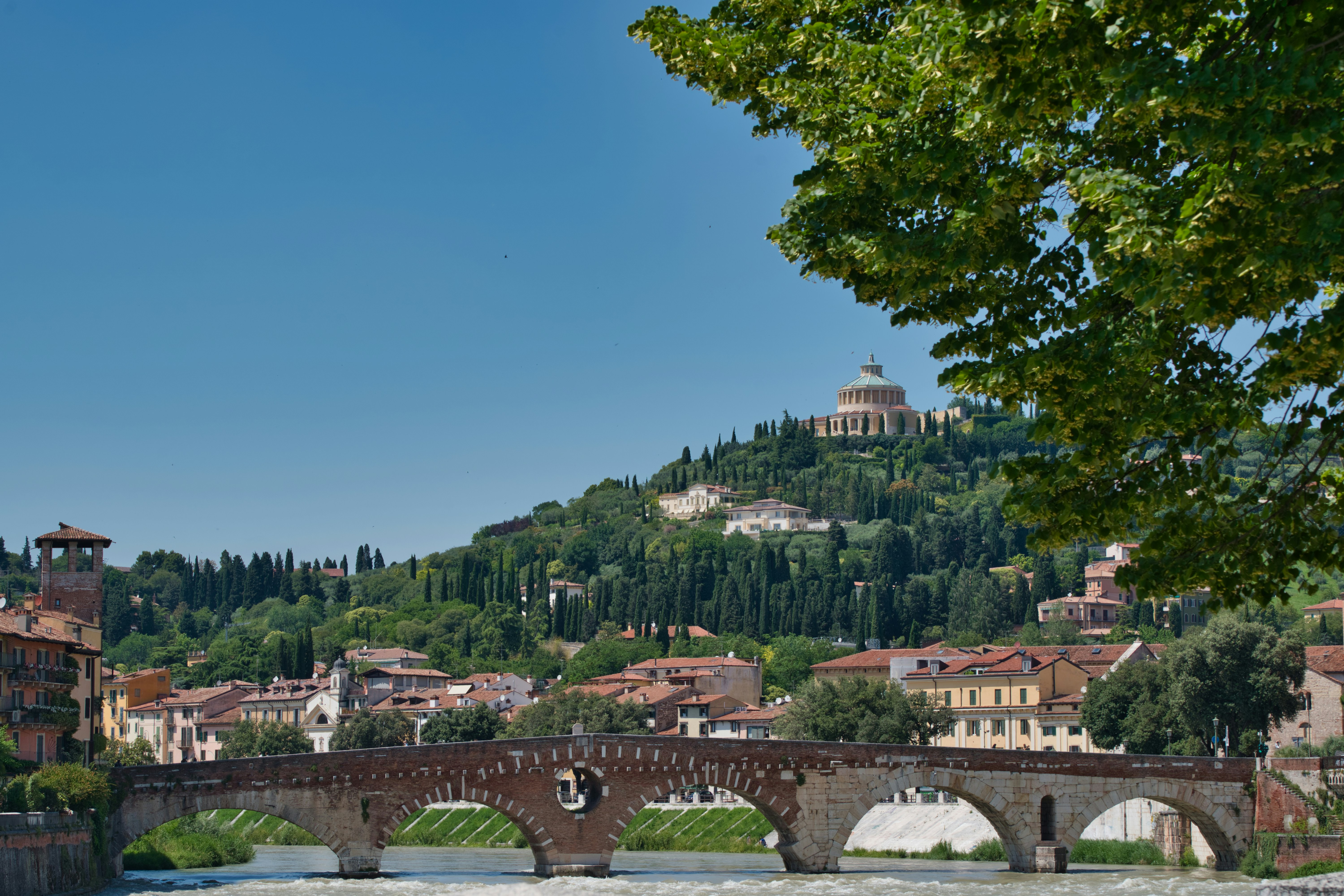 Photo by alessandro33