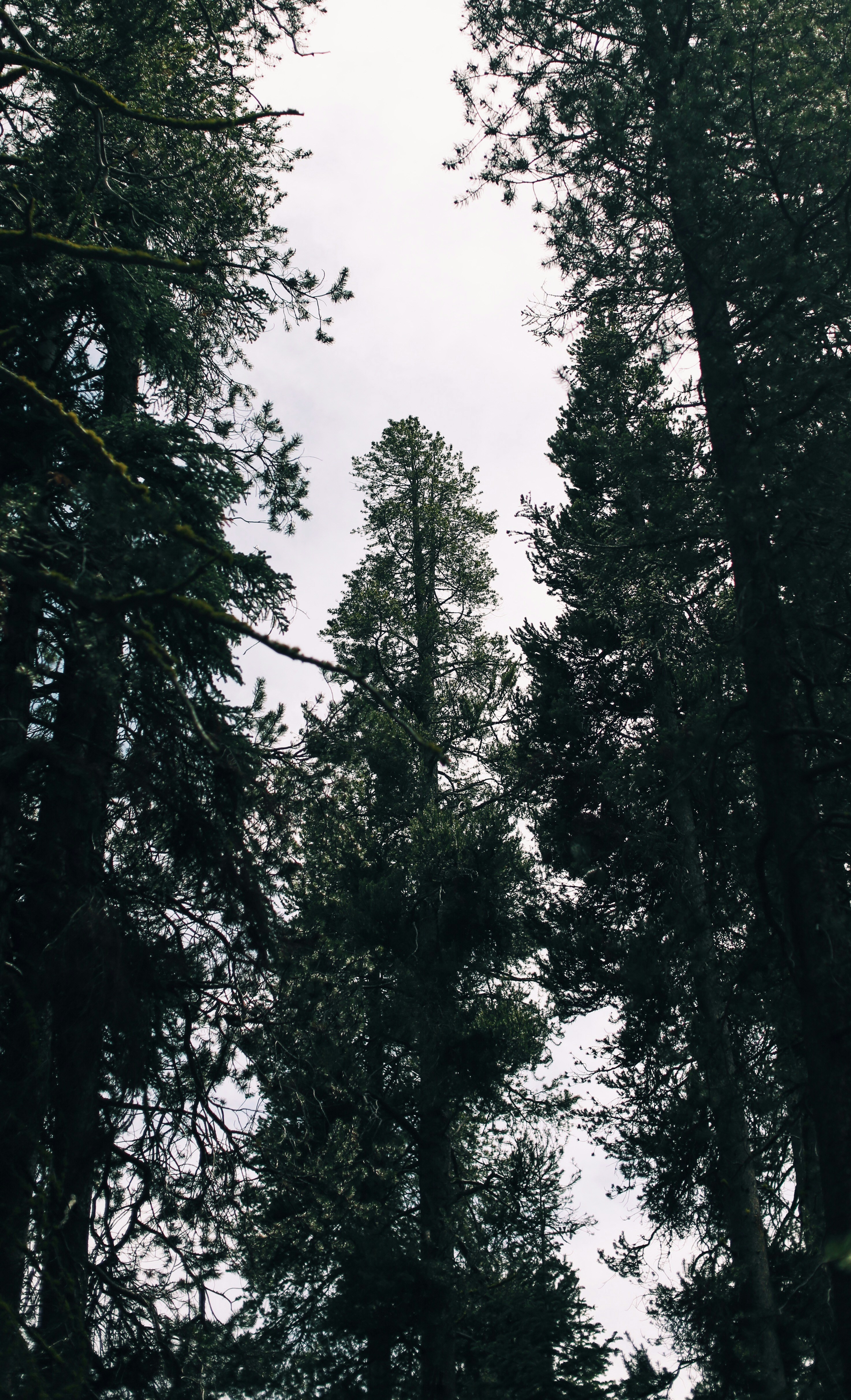 Photo by giorgiotrovato