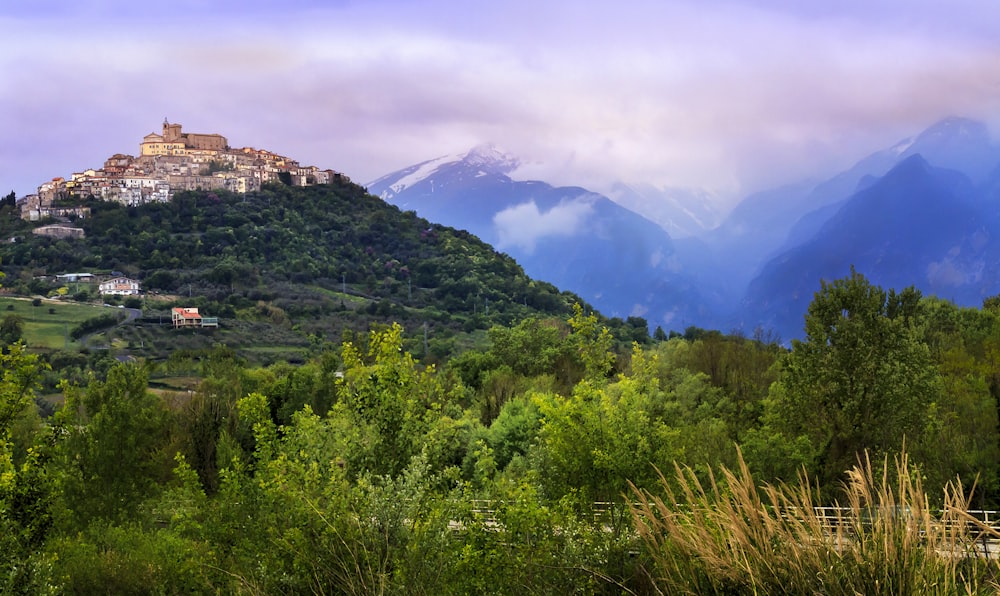 green trees on mountain under white clouds during daytime