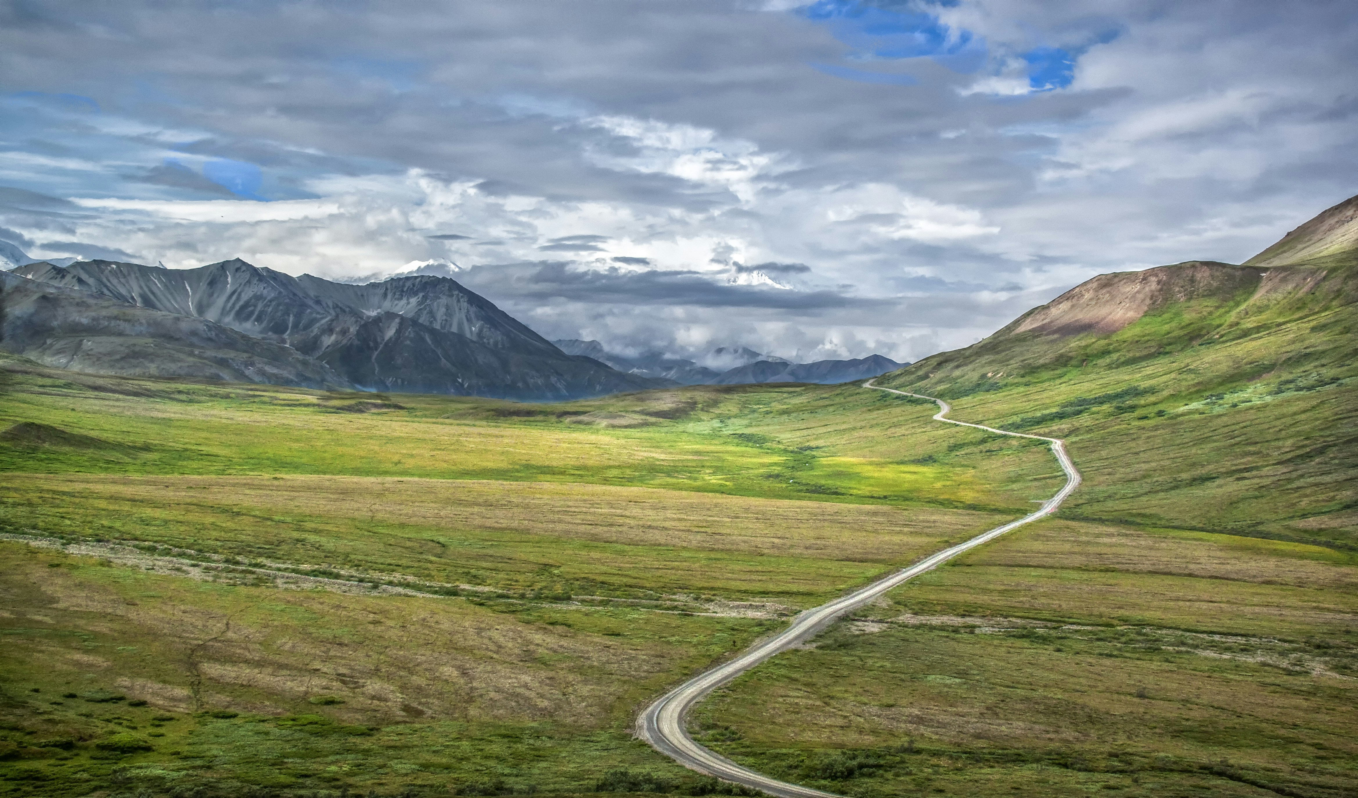 Denali National Park & Preserve - 1-Day Highlights