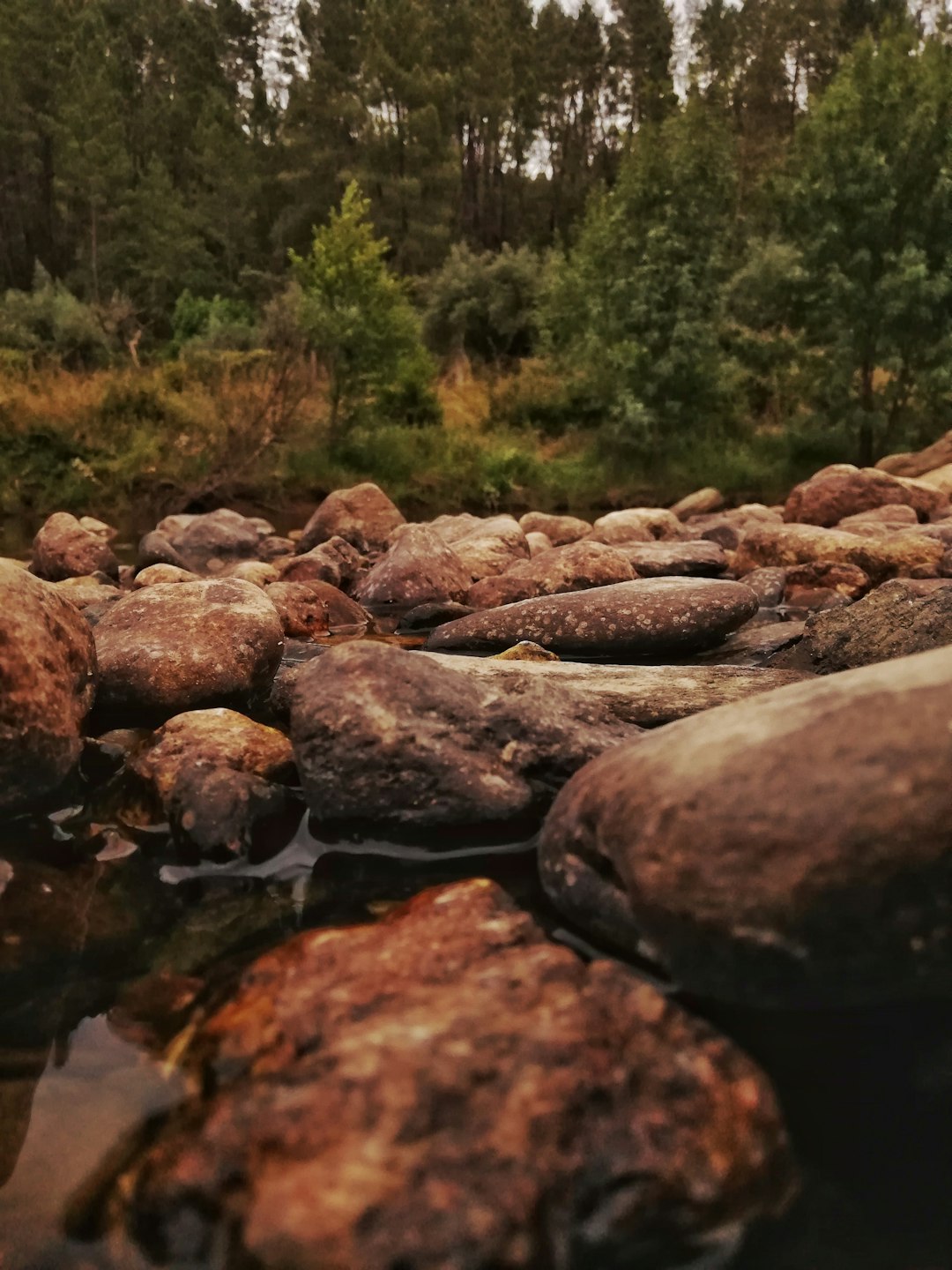 brown stones on river during daytime