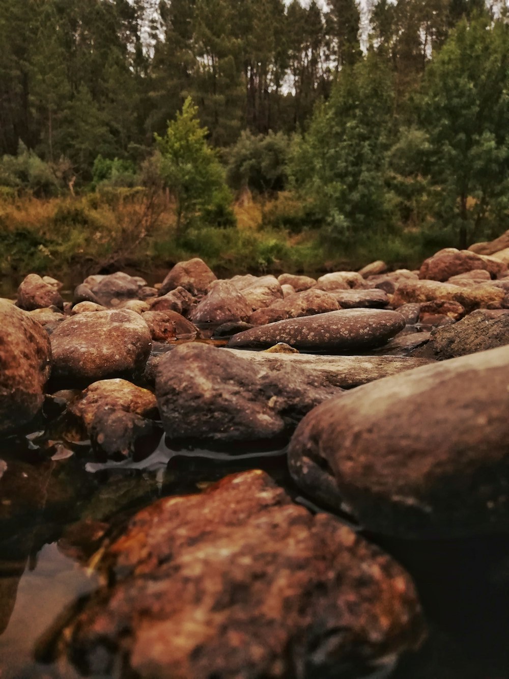 brown stones on river during daytime